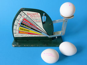 egg scale with eggs