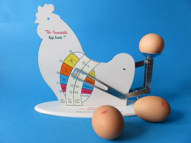 egg scale