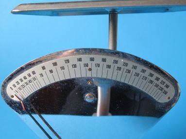 the scale of measurement