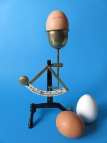 scale with egg