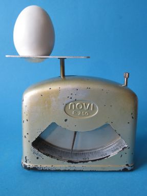 scale with an egg