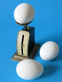 egg scale