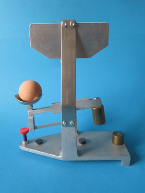 back of egg scale